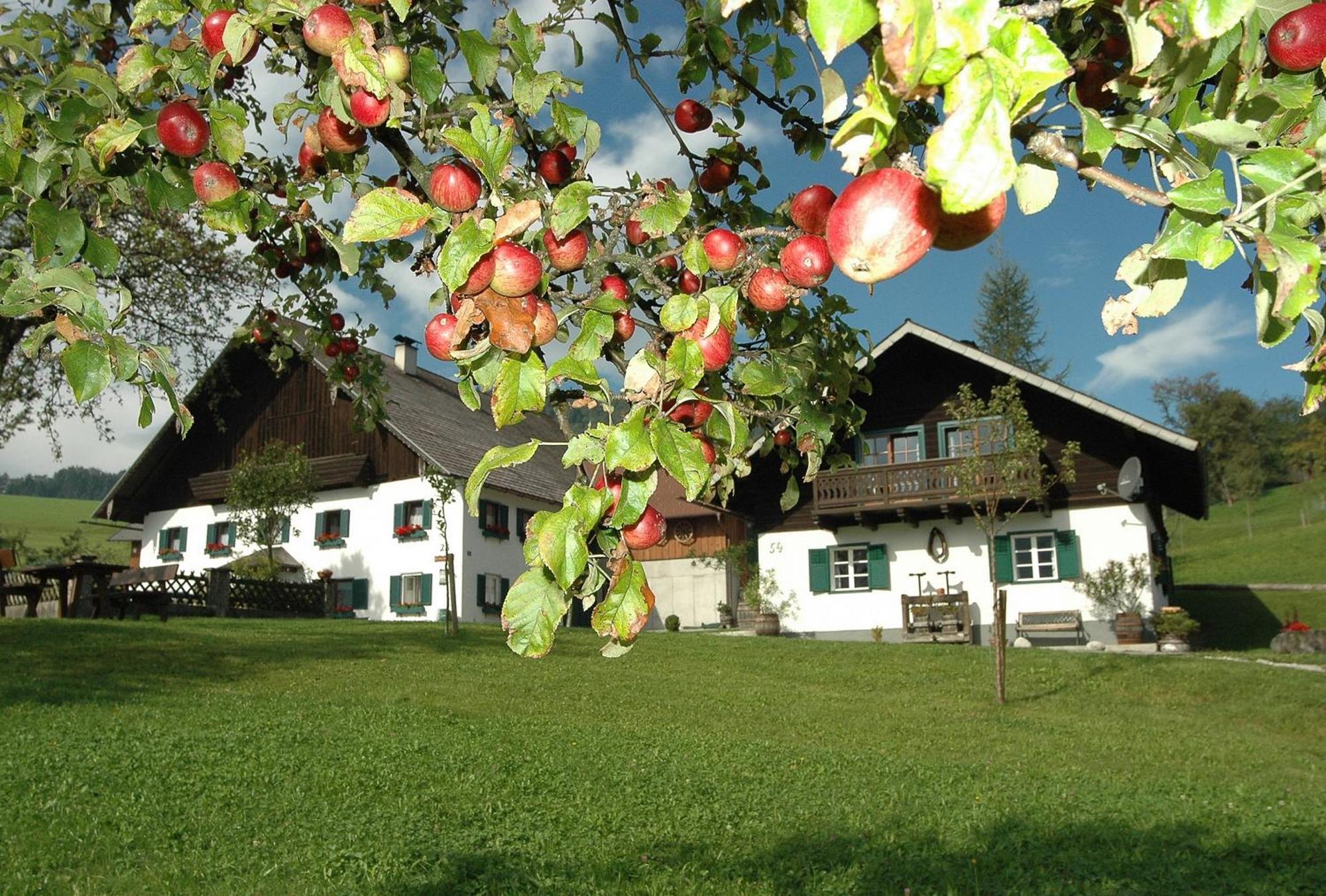 Ferienhof Margarethengut Unterach am Attersee Exterior photo